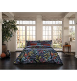 Schlossberg Aramis bleu 300TC