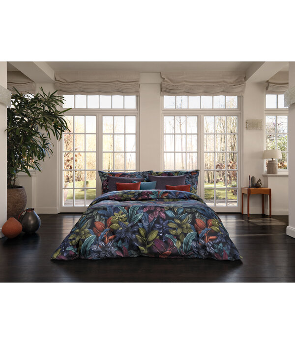 Schlossberg Aramis bleu 300TC