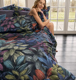 Schlossberg Aramis bleu 300TC