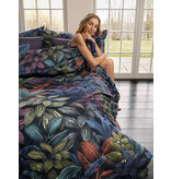 Schlossberg Aramis bleu 300TC