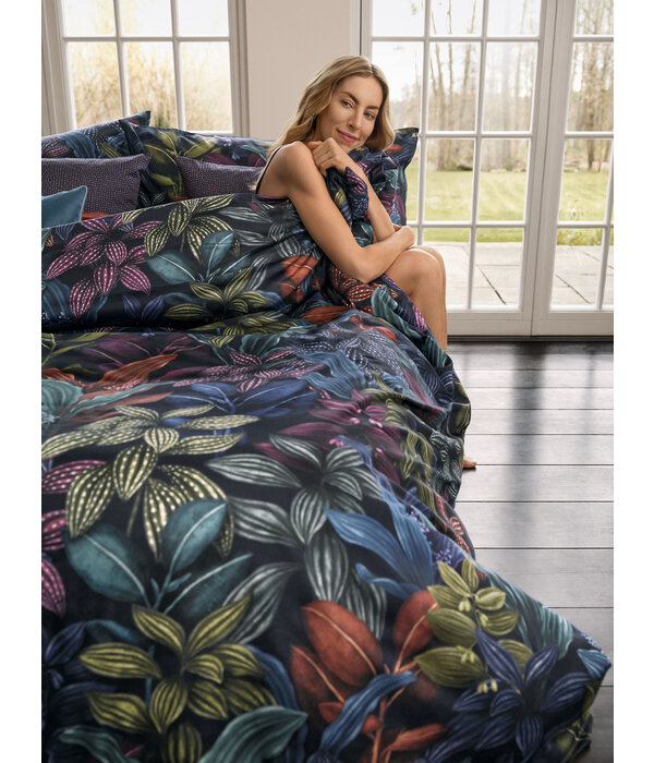 Schlossberg Aramis bleu 300TC