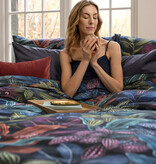 Schlossberg Aramis bleu 300TC