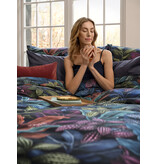 Schlossberg Aramis bleu 300TC