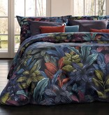 Schlossberg Aramis bleu 300TC