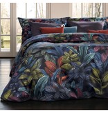 Schlossberg Aramis bleu 300TC