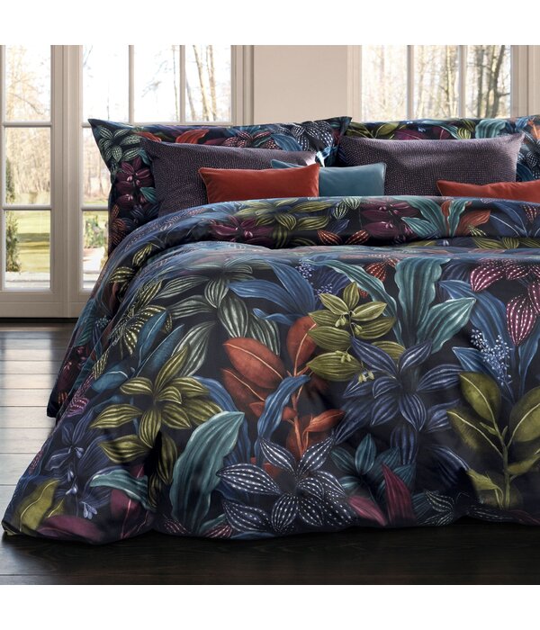 Schlossberg Aramis bleu 300TC