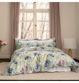 Schlossberg Charlotte vert 300TC