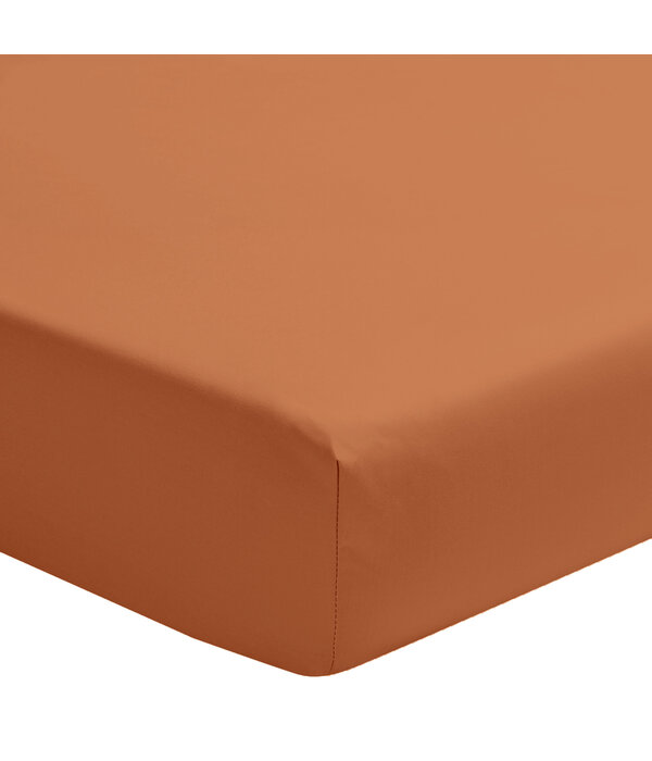 Essix hoeslaken 200TC cuir, matras tot 40 cm hoog, vanaf