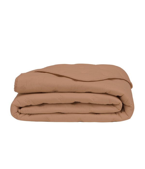 Essix Sweet beige plaid