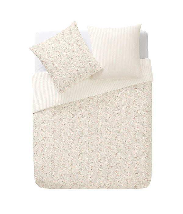 Essix Cottage 200TC