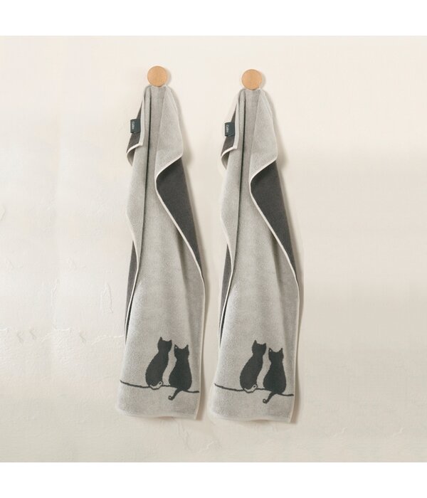 Cawö handdoekenlijn Cute Cats platin-basalt 6263/70, vanaf