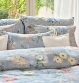 Schlossberg Aven bleu 300TC