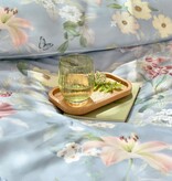 Schlossberg Aven bleu 300TC