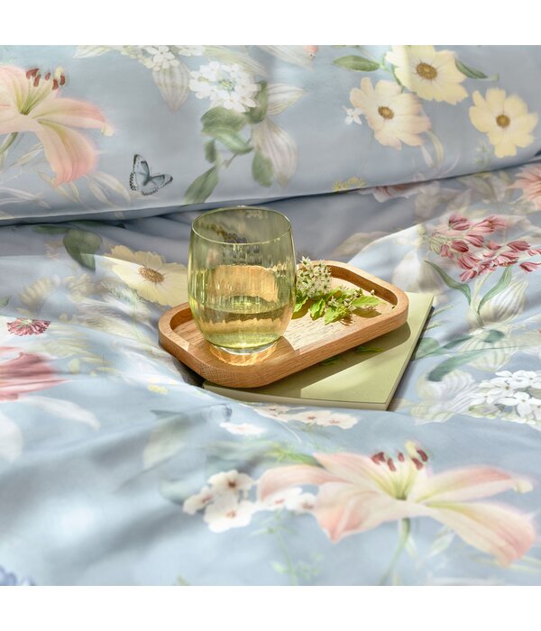 Schlossberg Aven bleu 300TC