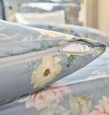 Schlossberg Aven bleu 300TC