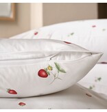 Schlossberg June blanc 300TC