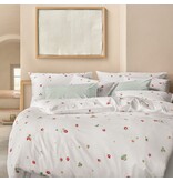 Schlossberg June blanc 300TC