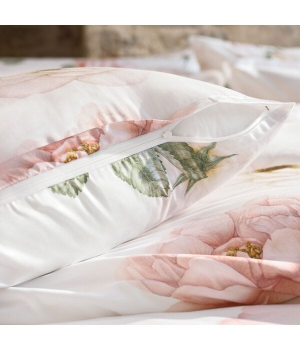 Schlossberg Rose blanc 300TC