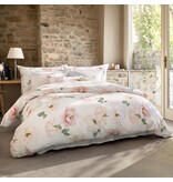 Schlossberg Rose blanc 300TC