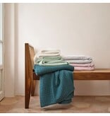 Schlossberg Stay teal plaid