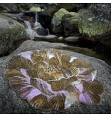 Abyss Habidecor Golda badmat (800), 2200 gram per m²