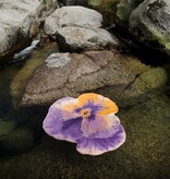 Abyss Habidecor Pansy badmat (870), 1900 gram per m²