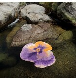 Abyss Habidecor Pansy badmat (870), 1900 gram per m²