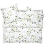 Schlossberg Hortensia blanc 300TC