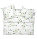 Schlossberg Hortensia blanc 300TC