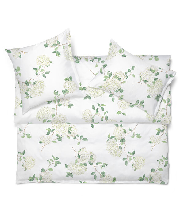 Schlossberg Hortensia blanc 300TC