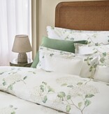 Schlossberg Hortensia blanc 300TC