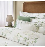 Schlossberg Hortensia blanc 300TC