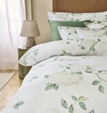 Schlossberg Hortensia blanc 300TC