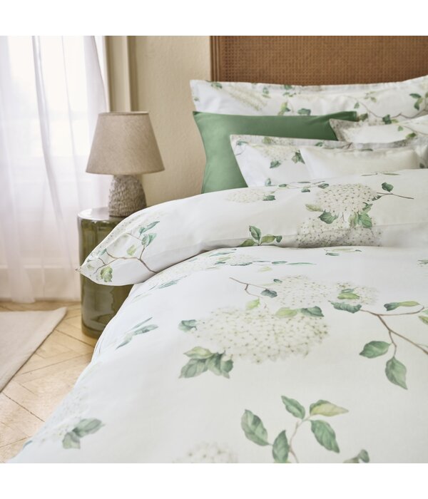 Schlossberg Hortensia blanc 300TC