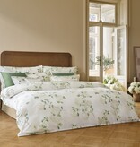 Schlossberg Hortensia blanc 300TC