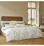 Schlossberg Hortensia blanc 300TC