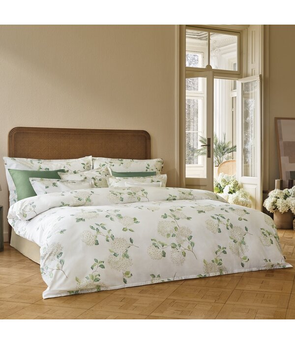 Schlossberg Hortensia blanc 300TC