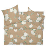 Schlossberg Hortensia miel 300TC
