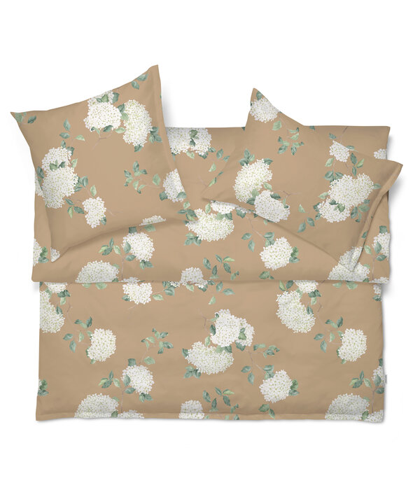 Schlossberg Hortensia miel 300TC