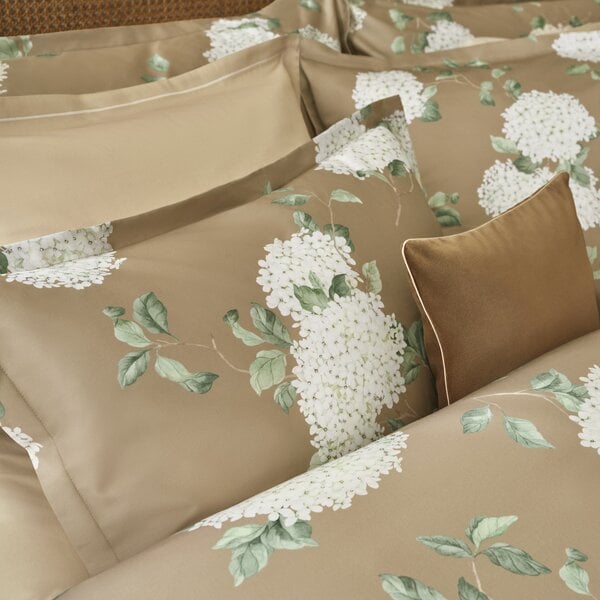 Hortensia miel 300TC