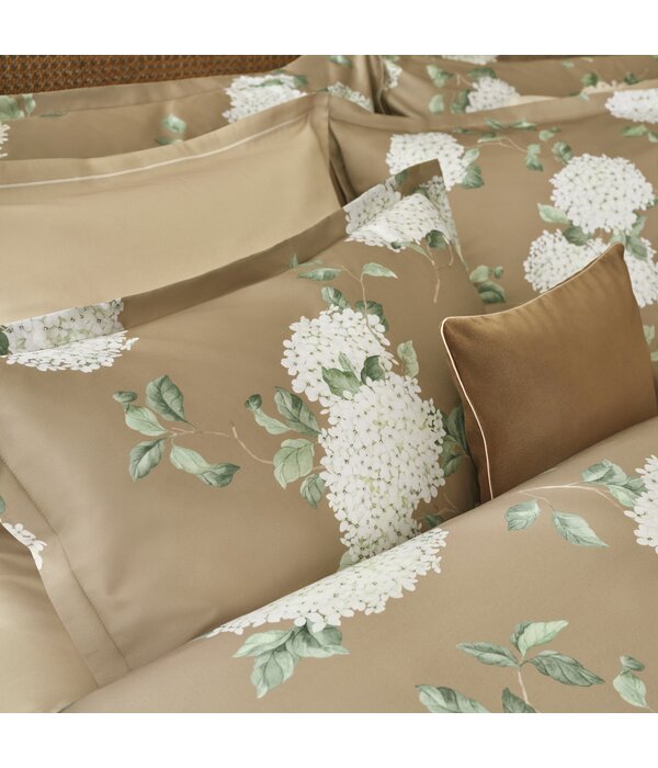 Schlossberg Hortensia miel 300TC