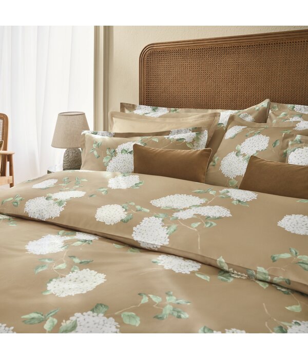 Schlossberg Hortensia miel 300TC