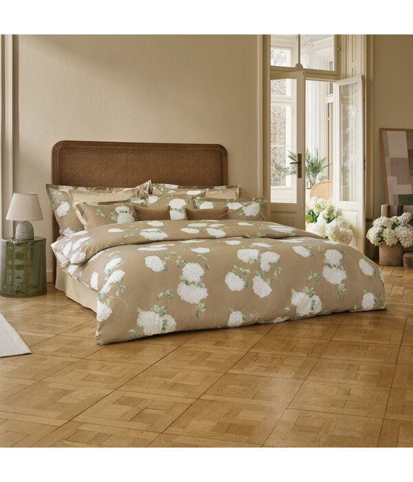 Schlossberg Hortensia miel 300TC
