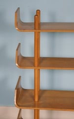 Rare teak plywood shelving by Wilhelm Lutjens for De Boer Gouda