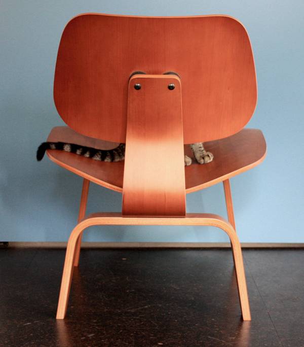 Eames Miller Cherry Chair LCW