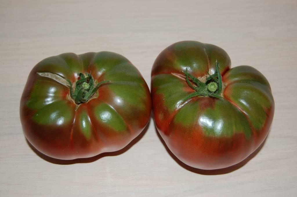 True Black Brandywine - tomato - Vertiloom