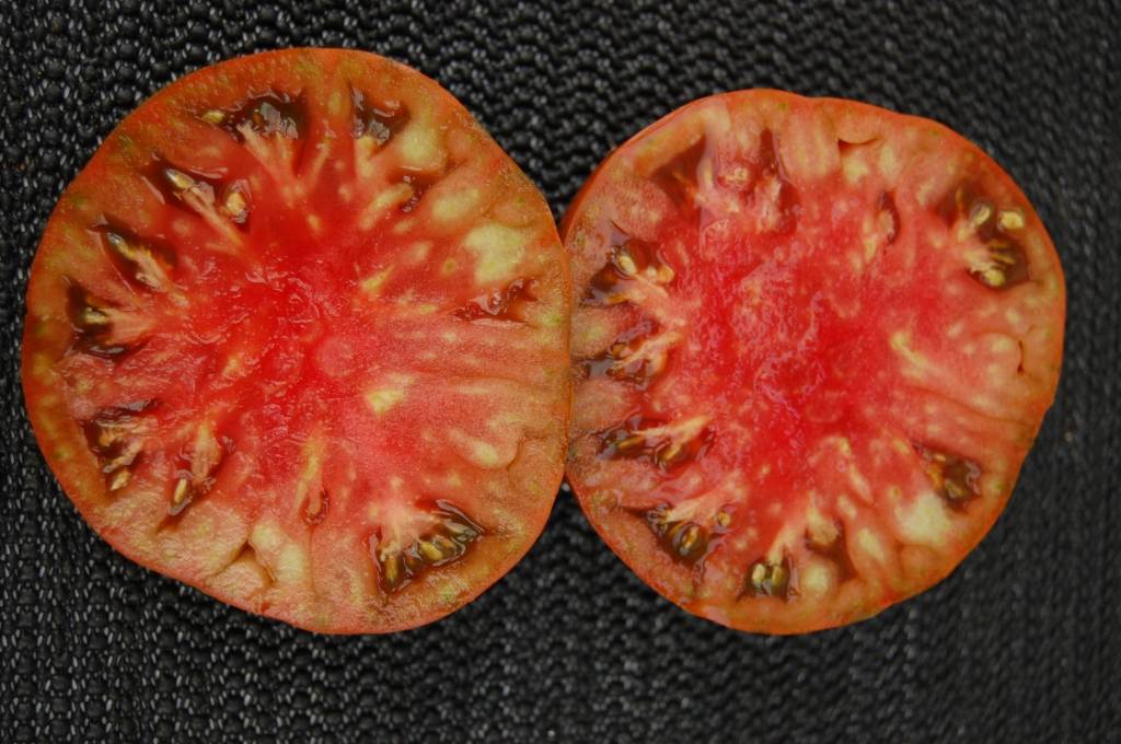 paul robeson tomato