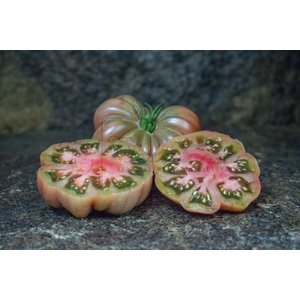 Tim's Black Ruffles Tomato Vertiloom