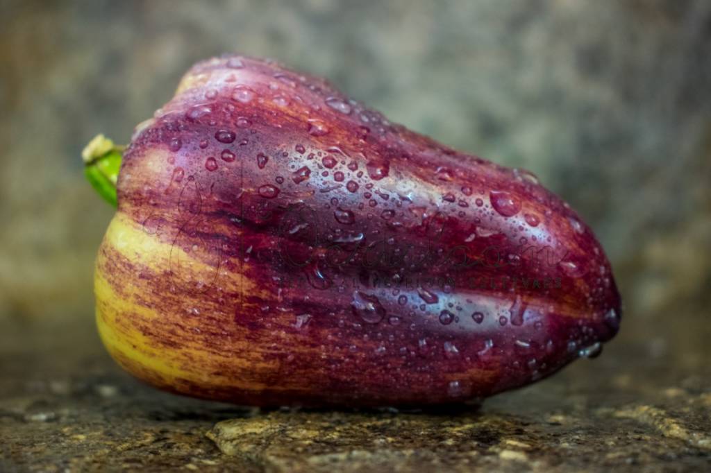 violet-sparkle-sirenevyj-blesk.jpg?_ga=2