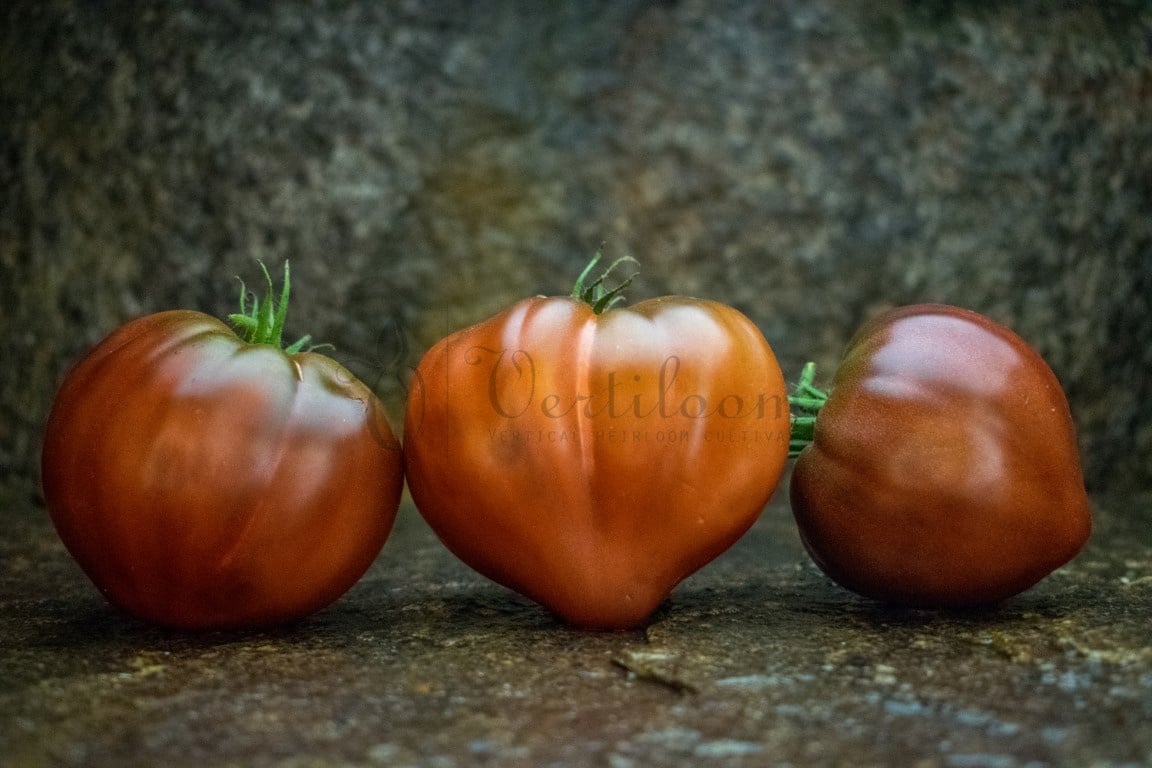 Dwarf Purple Heart Tomato Vertiloom